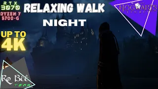 Hogwarts Legacy | Relaxing Walk | Music & Ambience | Lower Hogsfield to Hogwarts  - NIGHT