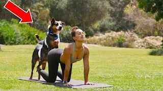 The story shocked the whole world! This is what a dog did to a woman during yoga!