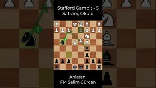 STAFFORD GAMBİT - 5