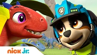 PAW Patrol Pups Rex & Zuma Save Baby Dino Raptors! | Nick Jr.