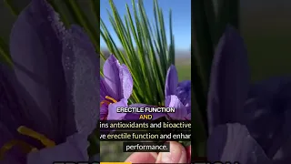 boost sexual performance with saffron