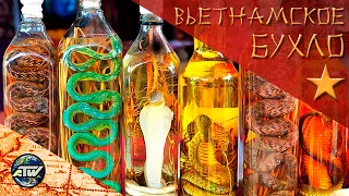 Алкоголь во Вьетнаме | Ром и Змеиная настойка - Лучший Выбор!!! Сайгон (Хошимин) 2023