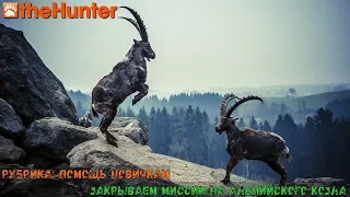 theHunter Classic | Рубрика: Помощь новичкам | Закрываем миссии на альпийского козла