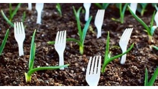 5 Things You Can Do to Recycle Plastic Forks and Spoons