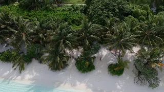 Free Raw Drone Footage: Thoddoo, Maldives