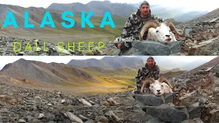 Dall Sheep Hunt Alaska Video Part 1