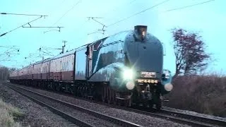 UK - Bittern, The Capital Streak at 70mph, 7-12-2013