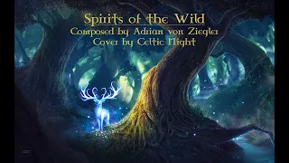 Celtic Music - Spirits of the Wild (cover)