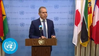 Remarks by Israel on the situation in Palestine - Security Council Media Stakeout