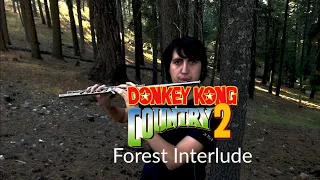 Forest Interlude - Donkey Kong Country 2