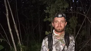 Black bear hunt in Minnesota