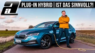 Der NEUE Skoda Octavia iV (204PS, 350Nm) | Lohnt sich das?! | REVIEW