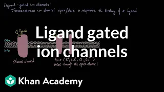 Ligand Gated Ion Channels | Nervous system physiology | NCLEX-RN | Khan Academy