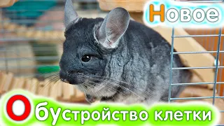 Обустройство клетки ШИНШИЛЛЫ🤩 Полочки своими руками #яХрумка