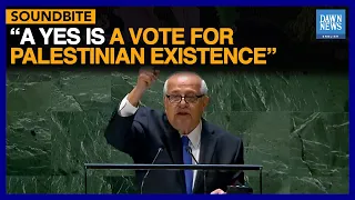 Palestinian Flag “Flies High And Proud”: Envoy To UN  | Dawn News English