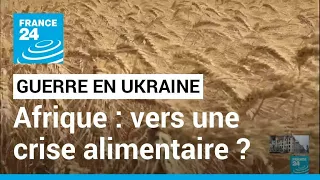 Un mois de guerre en Ukraine : en Afrique, la menace d'une crise alimentaire • FRANCE 24