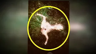 5 Creepiest Things Found in the Woods!