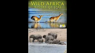 Дикие реки Африки / Wild Africa. Rivers of Life Серия 2 Лимпопо / Limpopo River