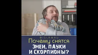 Почему снятся змеи, пауки и скорпионы? #сон #змея #паук