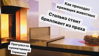 Кладбище домашних животных в Германии/сколько стоит кремация и похороны животного/ Крематорий