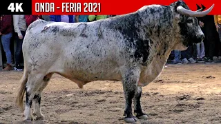 4K ▪ ONDA ▪ FERIA 2021 ▶ Primer sábado (Miura, Partido de Resina, Jandilla y Torrestrella)