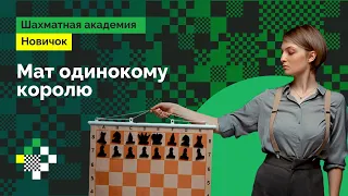 Людмила Леолько учит шахматам с нуля #11 ♟️ Мат одинокому королю