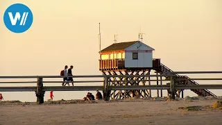 Küsten des Nordens (2/6): Von Hamburg zu den Halligen | Dokuserie über Nord- und Ostsee