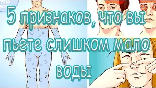 ➤ 5 признаков, что вы пьете слишком мало воды ➤