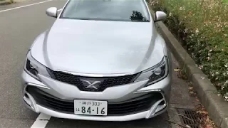 2018 Toyota Mark X