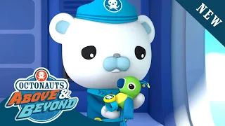 Octonauts: Above & Beyond - Octowatch Alert! ⏱️ | Season 2 | @Octonauts​