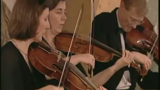 Johann Sebastian Bach - Brandenburg Concerto No. 3 in G major, BWV 1048 - Freiburg Baroque Orchestra
