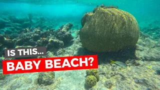 Baby Beach snorkeling that nobody is talking about!