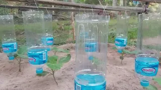 Easy way to make Drip Watering at home, How to make Drip Watering From Plastic Bottle