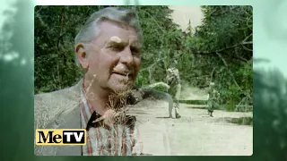 MeTV | Return to Mayberry