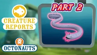 Octonauts - Creature Reports Part 2 | Cartoons for Kids | Underwater Sea Education