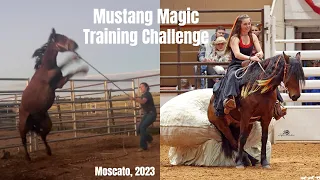 Mustang Magic 2023  (100 Day Training Challenge)