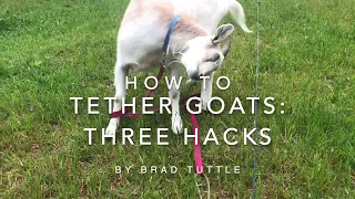 How to Tether Goats: Three Hacks