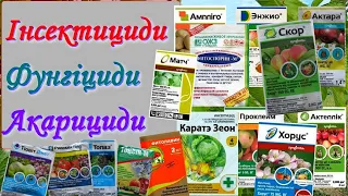 Основні групи препаратів для правильного обробітку саду від шкідників та хвороб