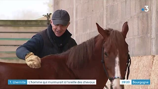 Cluny : Thierry Lhermitte, l'homme qui murmurait à l'oreille des chevaux