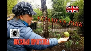 Английские Парки.Прогулка по Паркам Лондона St.James's Park.Лондон парки.Фауна Парков Лондона