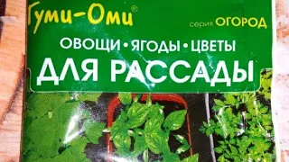 Чем подкормить рассаду?