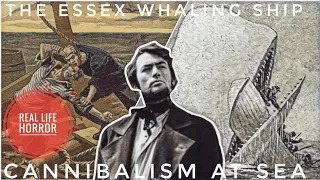 CANNIBALISM At Sea: The Sinking Of The Whaling Ship Essex The True Story That Inspired Moby Dick