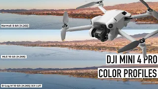 DJI MINI 4 PRO Color Profiles: Comparison D-LOG M, HLG, & NORMAL Profile