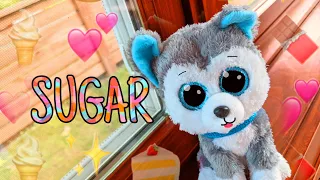 Sugar - Beanie Boo Music Video