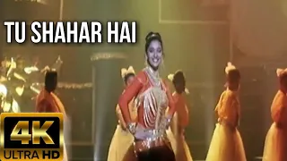 Tu Shayar Hai Main Teri Shayari | Full HD Song | Saajan 1991 | Alka Yagnik
