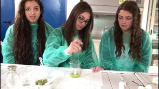 Estrazione DNA dal kiwi || IIIA 1617 Liceo Scientifico "I.S. Caravaggio"