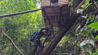 Full video two months of building a shelter in the forest