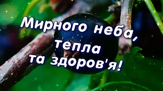 Доброго вечора і гарного відпочинку! Листівка добрий вечір