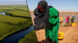 Somalia’s Worst Drought Crisis, Tackling Climate Change In the Gambia + More Stories | Eco Africa