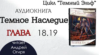 Глава 18. 19  из 25   Аудиокнига "Темное Наследие"  Цикл "Темный Эльф" Роберт Сальваторе